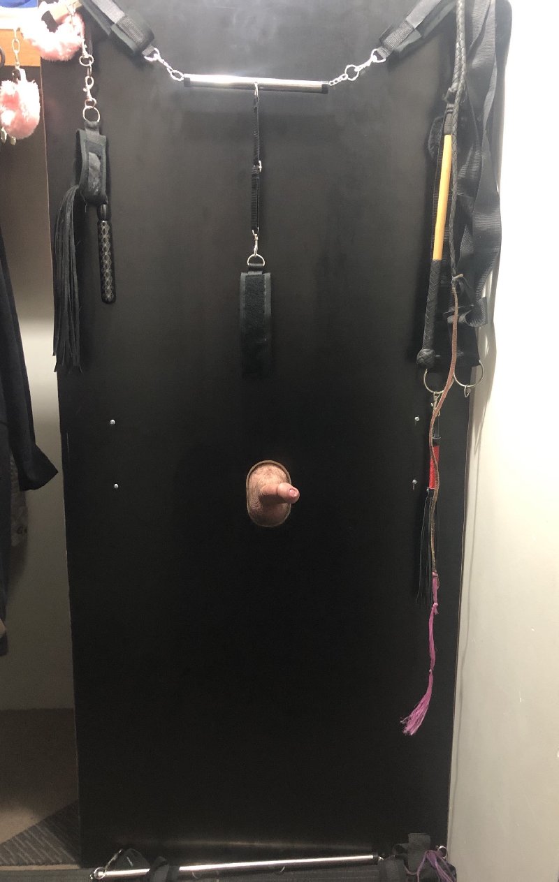 WILDSECRETS's Photo Gallery